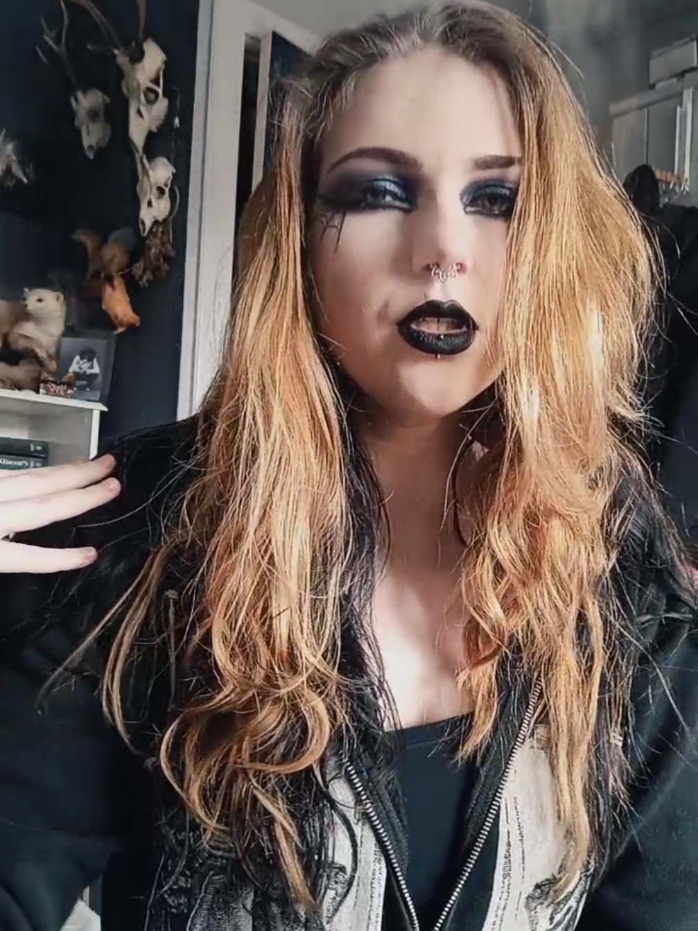@Seidr