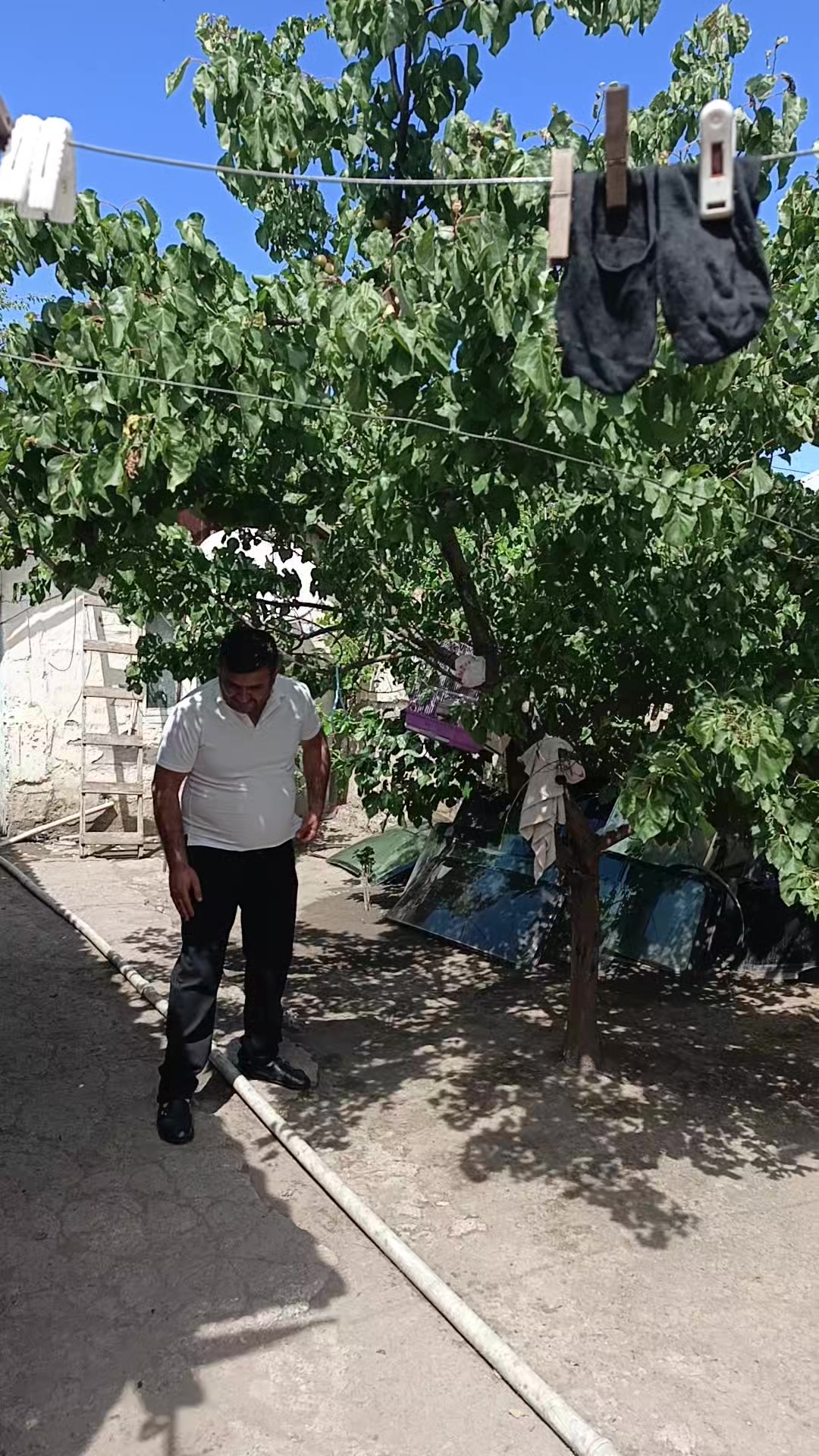 @l&uuml;t___Eşqin