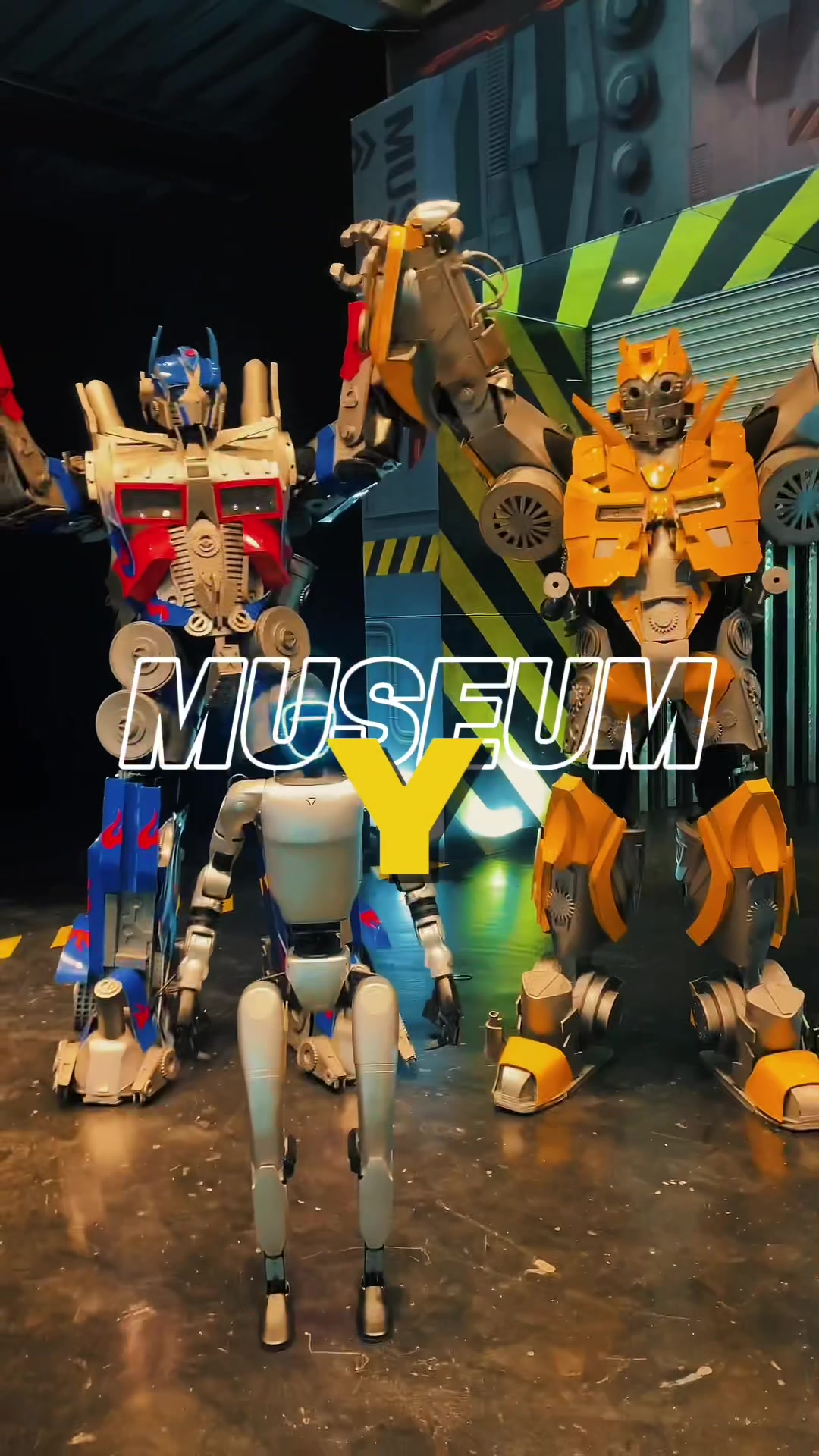 @Museum Y