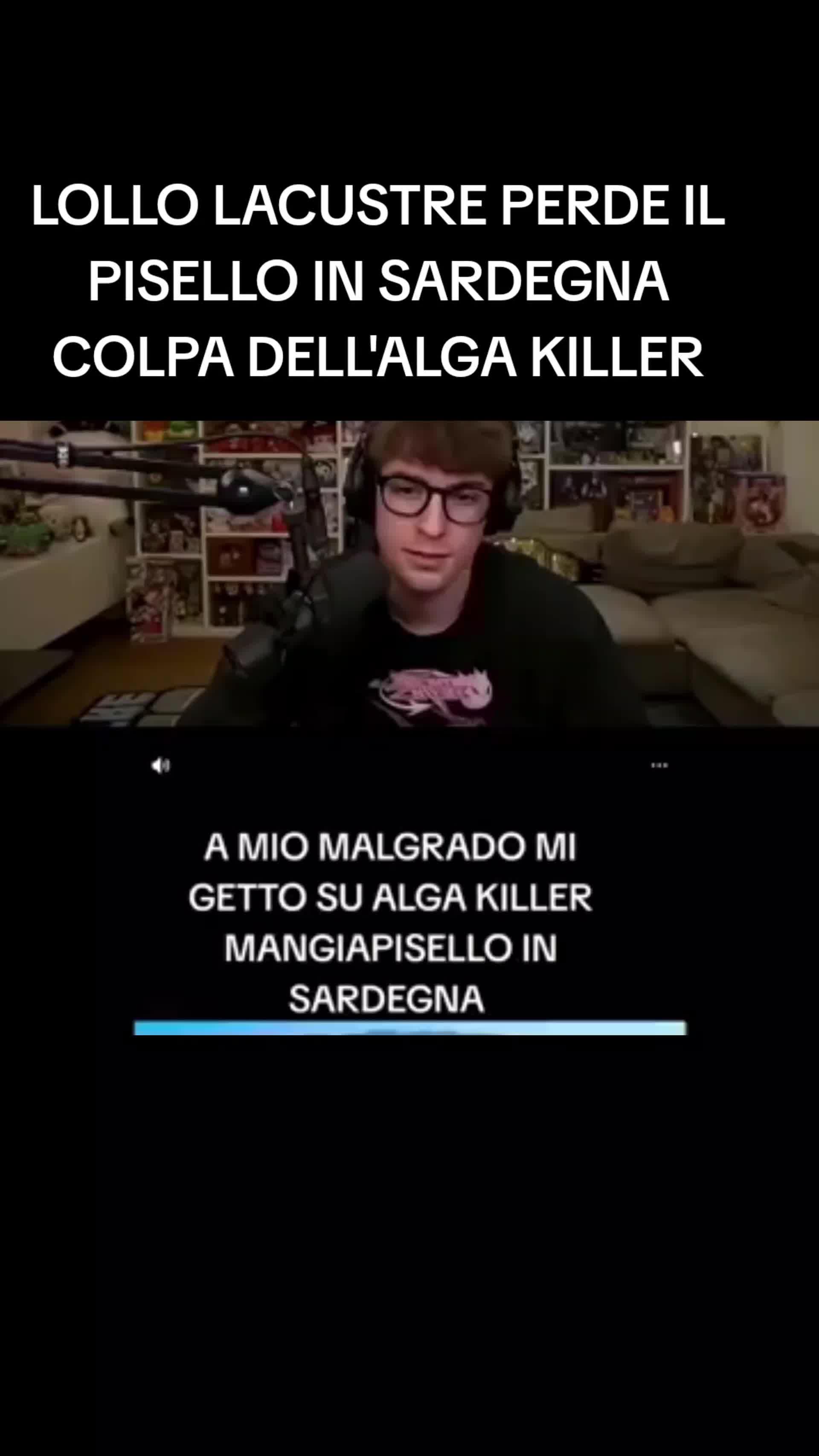 @emisurf