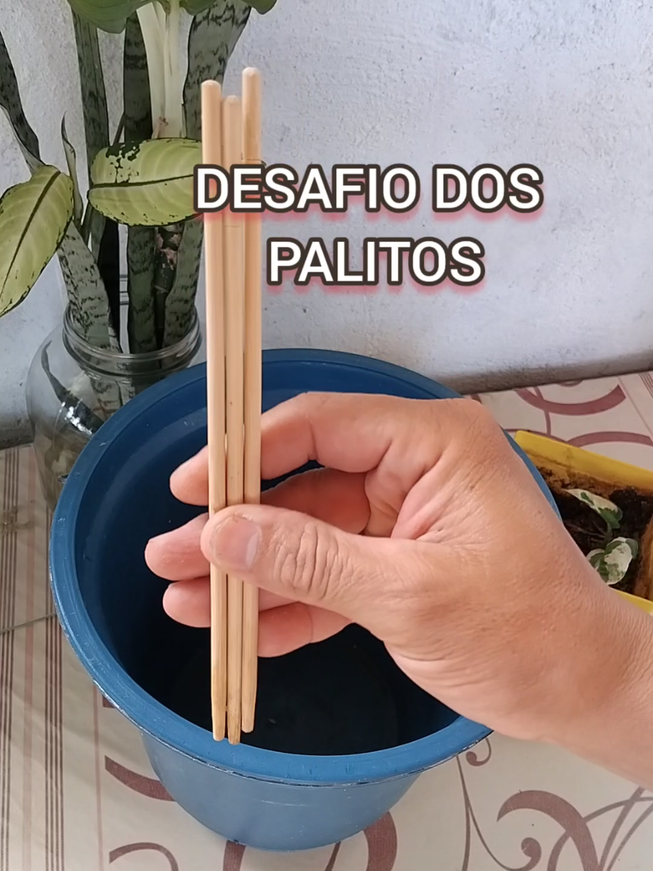 @EcoaBio - Educa&ccedil;&atilde;o Ambiental
