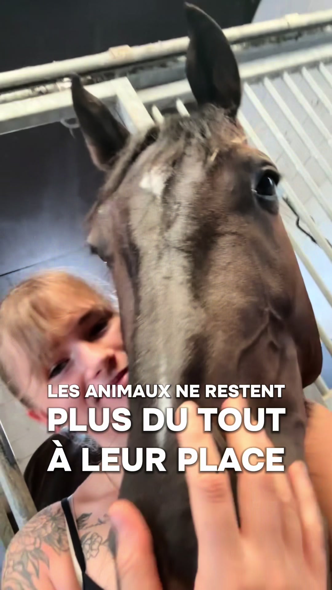 @La petite