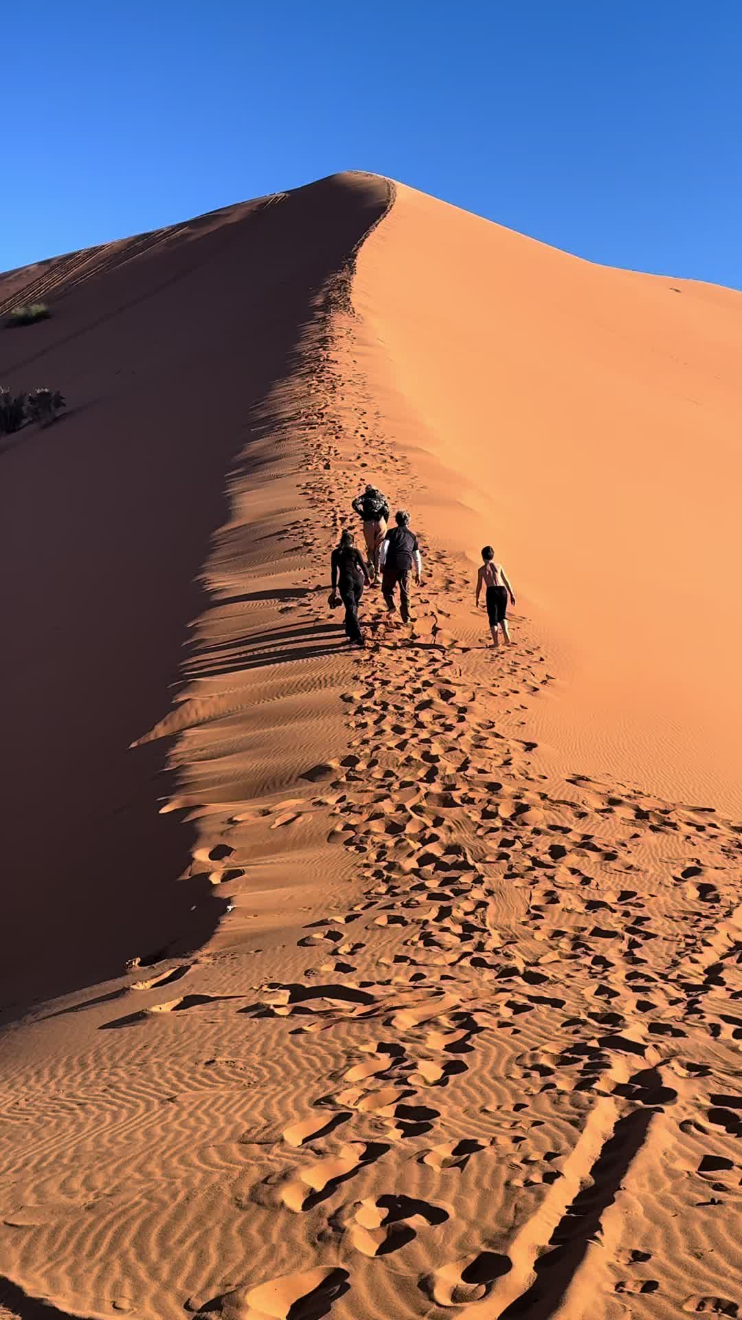 @Merzouga Globe 🌎