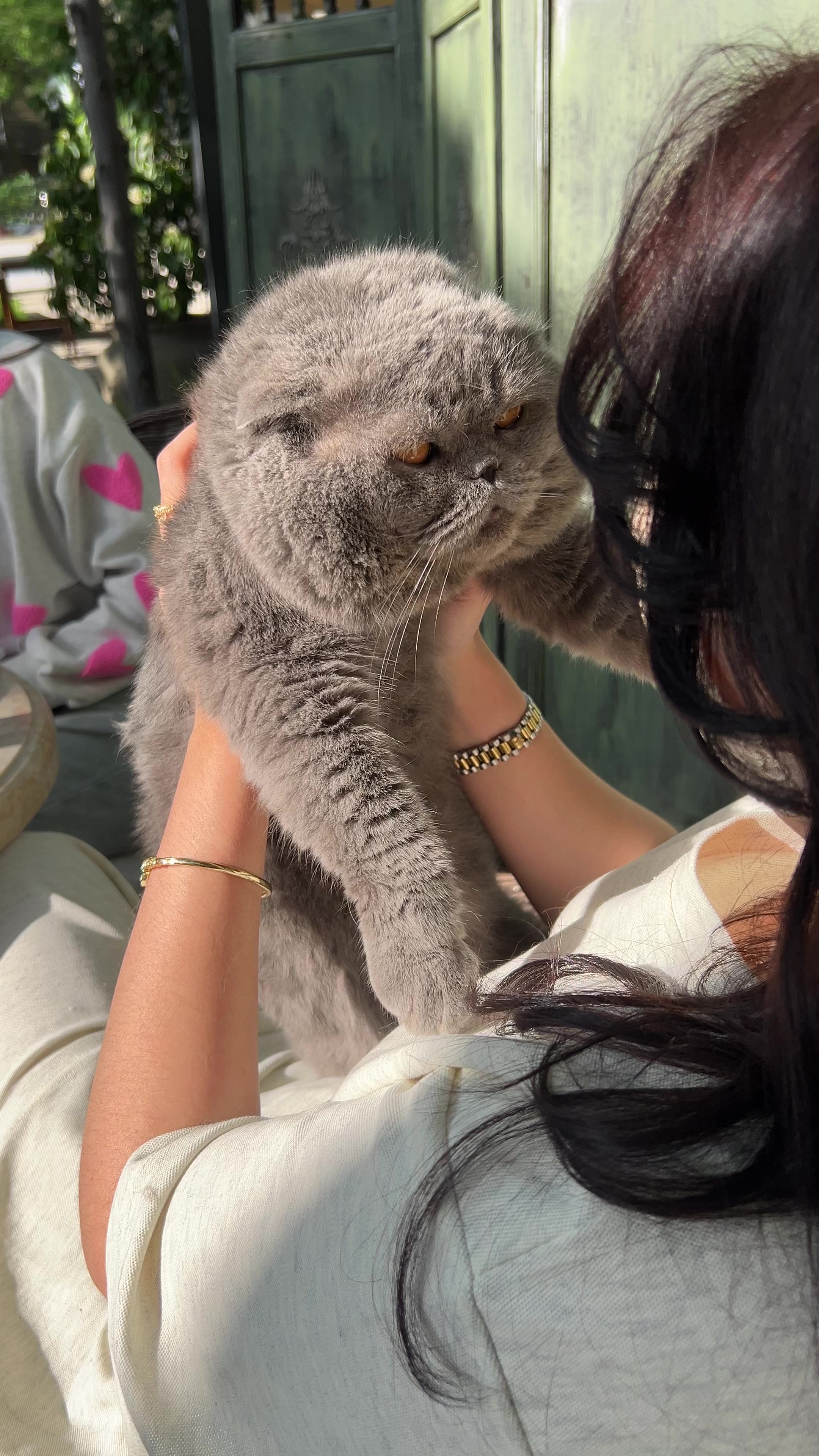 @kittens_uz