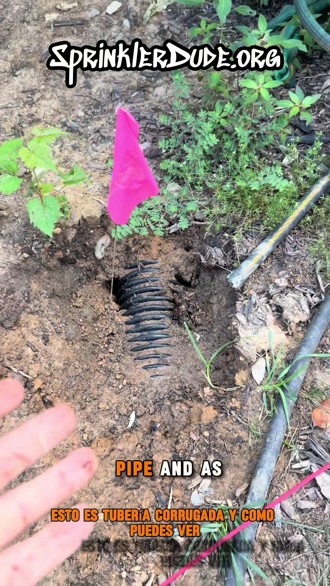@SprinklerDude