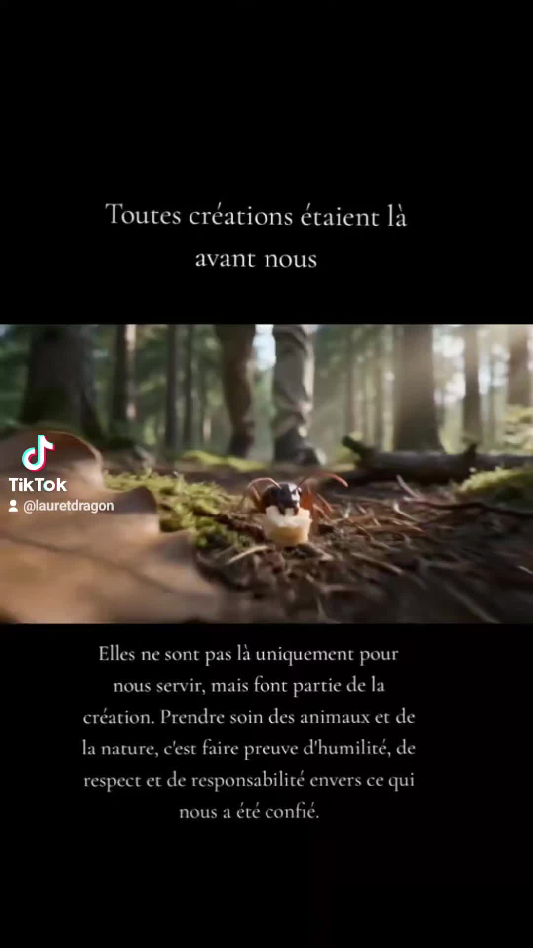 @Lauret Denise ✨🐉✨