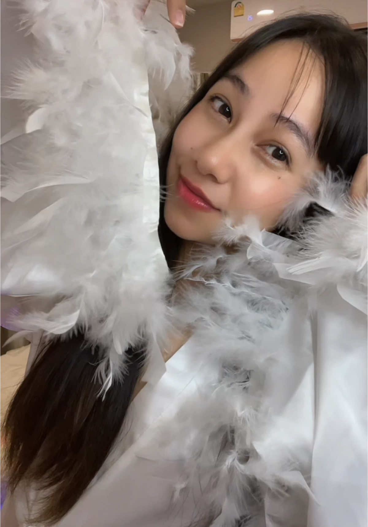 @palpal1310