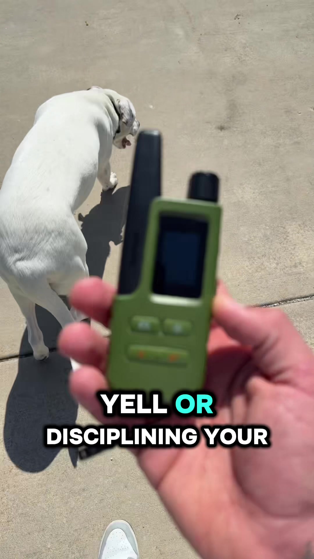 @Drew
