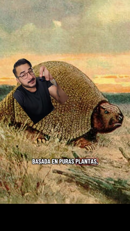 @nolosejose