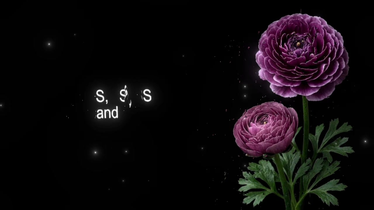 @speed songs | lyrics