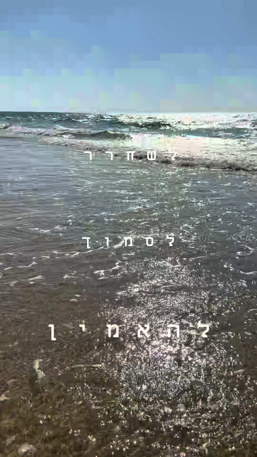 @S.L๐ค