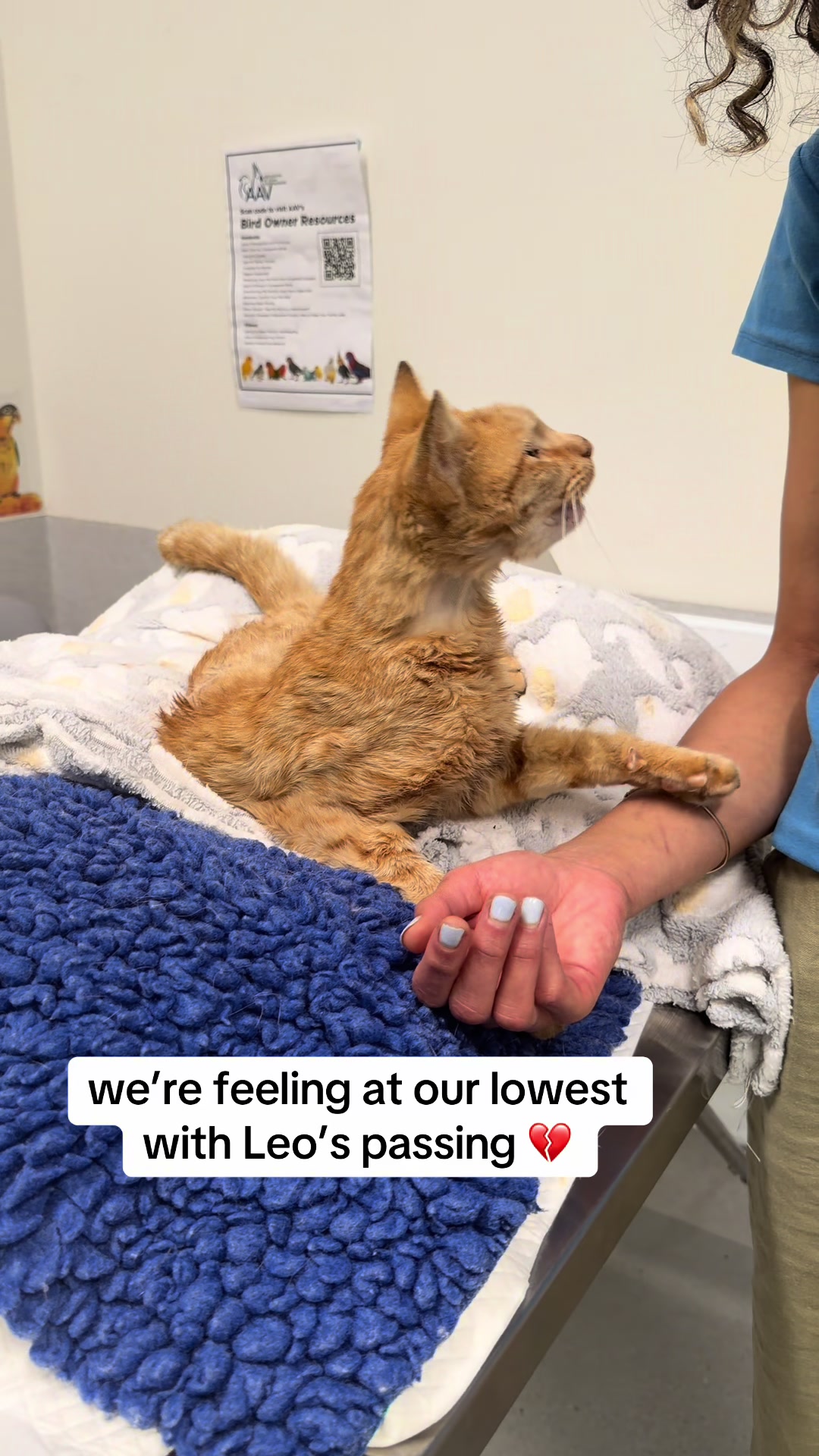 @safepawsau