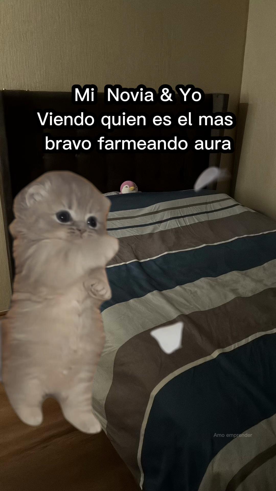 @jansonmania