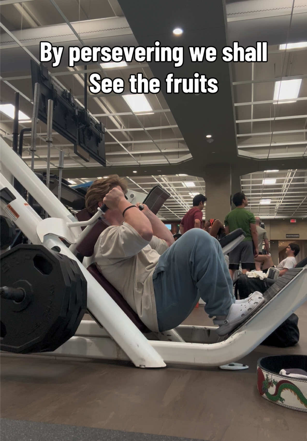 @BigDomLifts