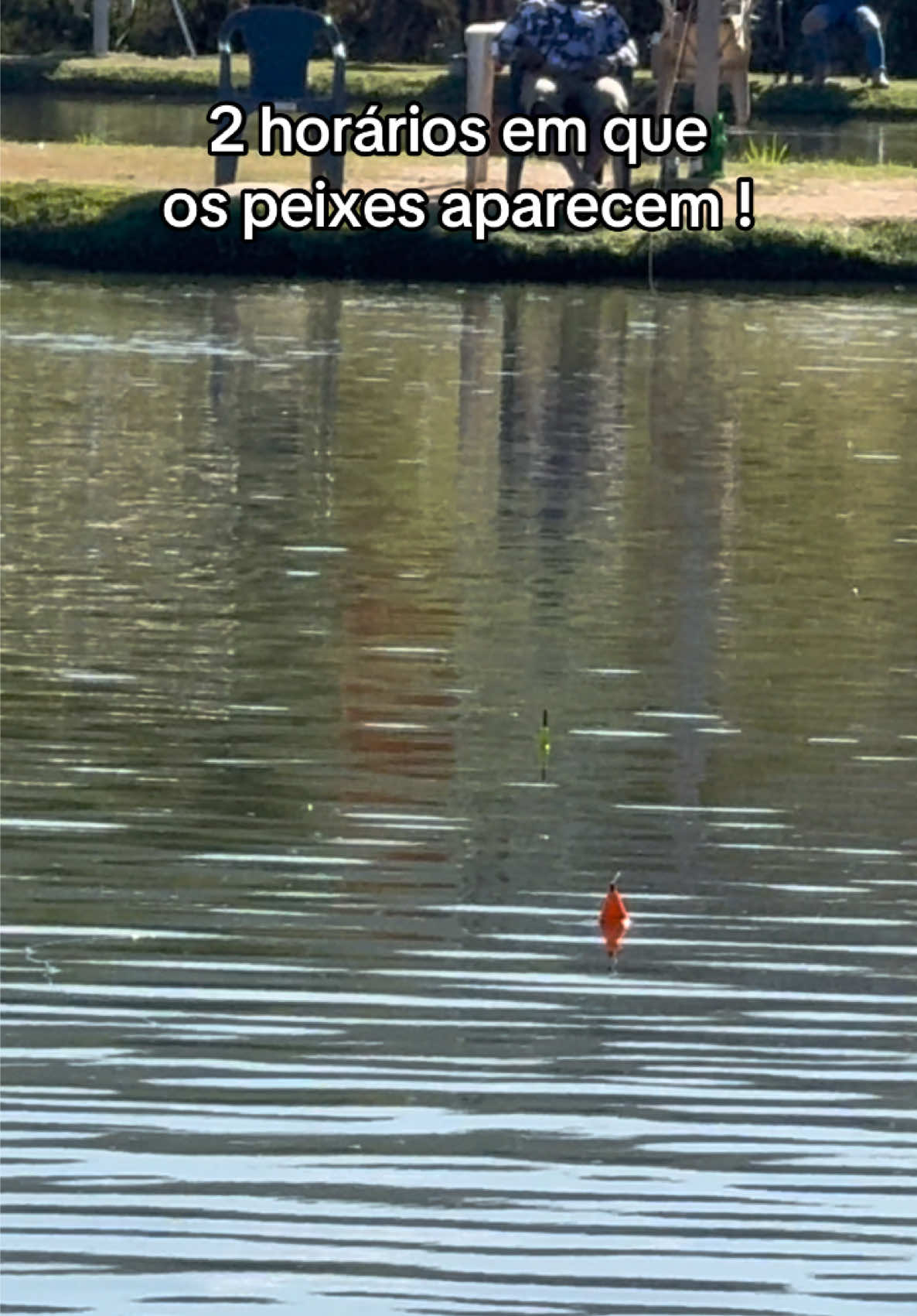 @Tayrones Alves