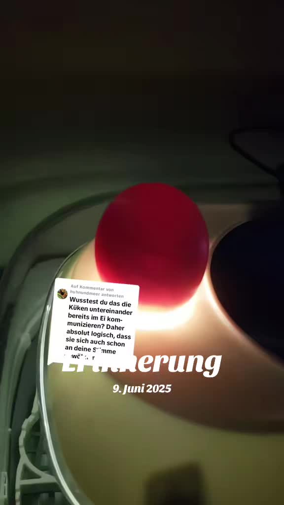 @DieSelbstvOrsorger