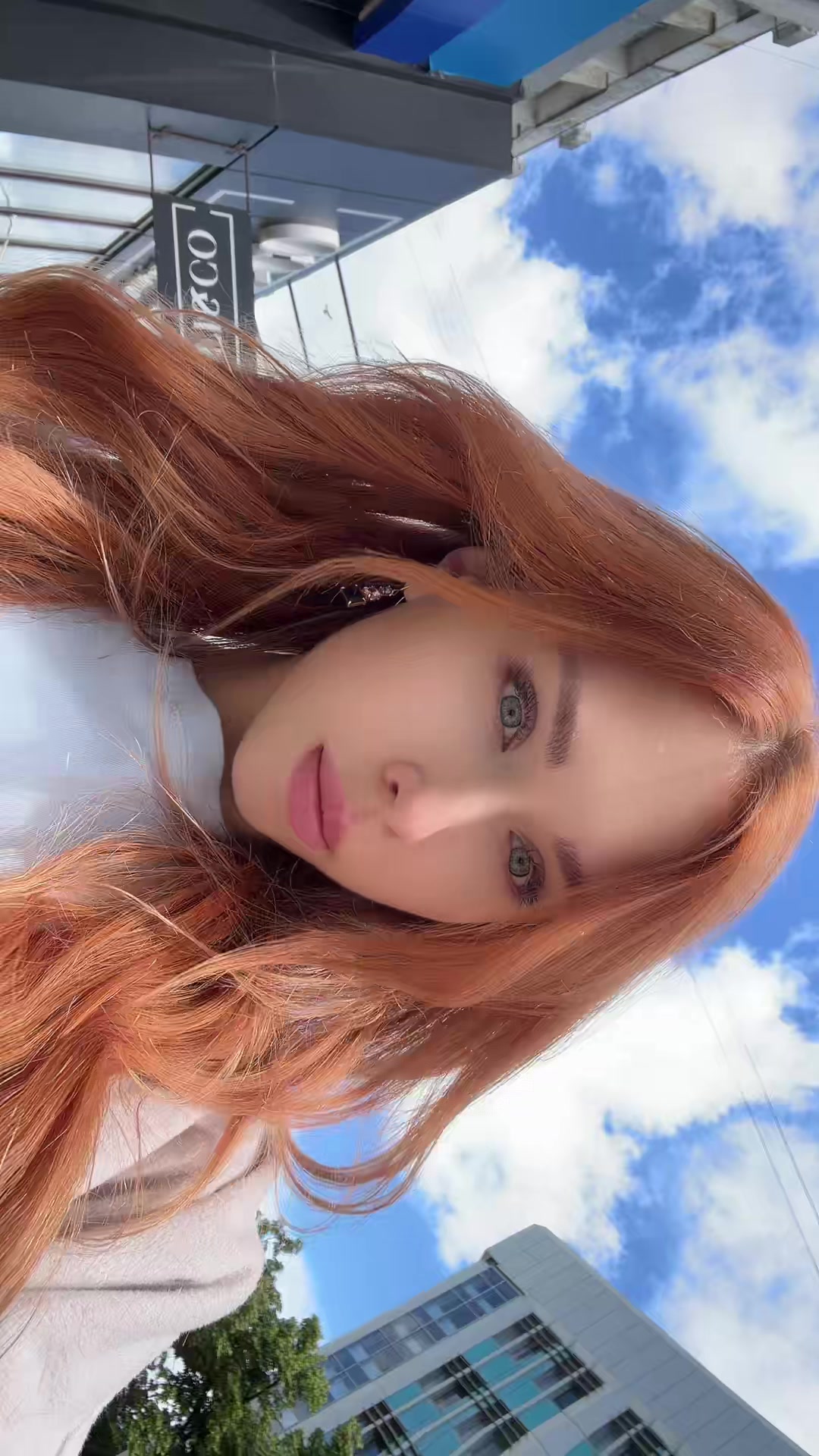 @Gonceatea