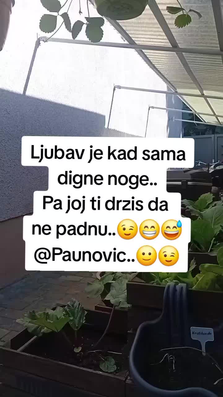 @Paunovic..🙂😉