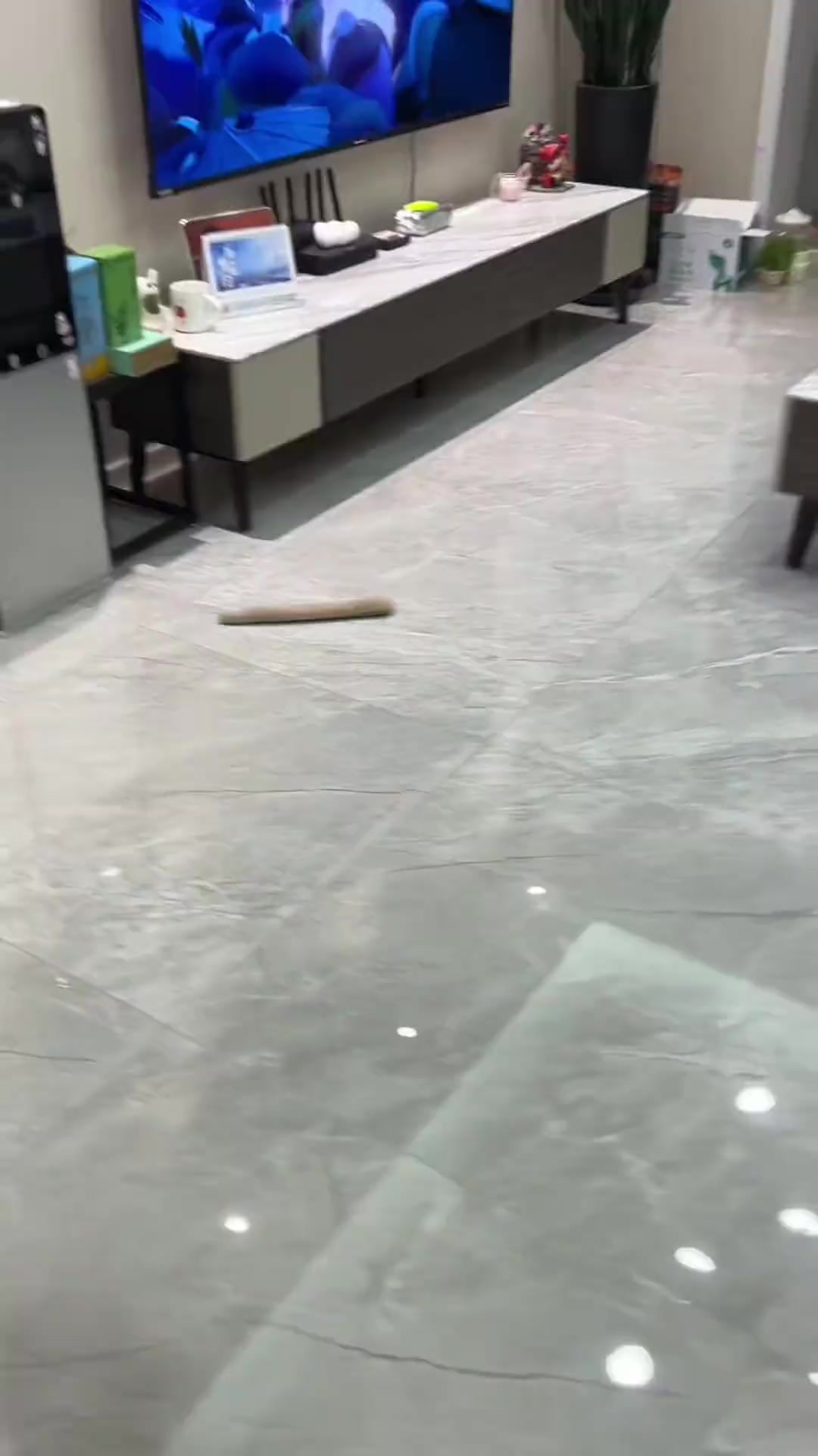 @秦始皇