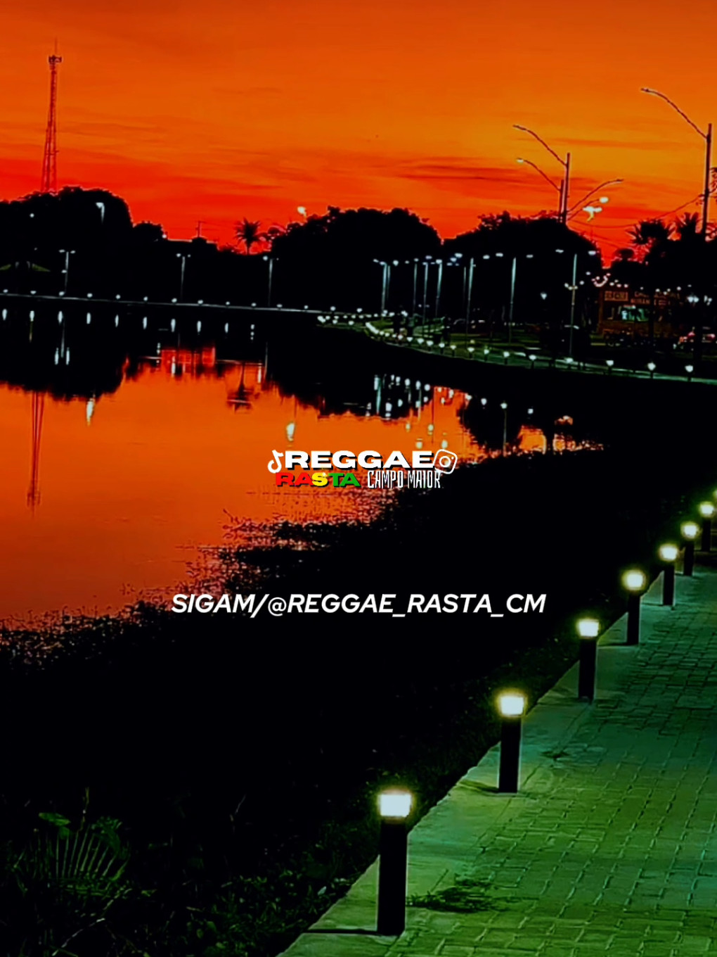 @REGGAE RASTA CM