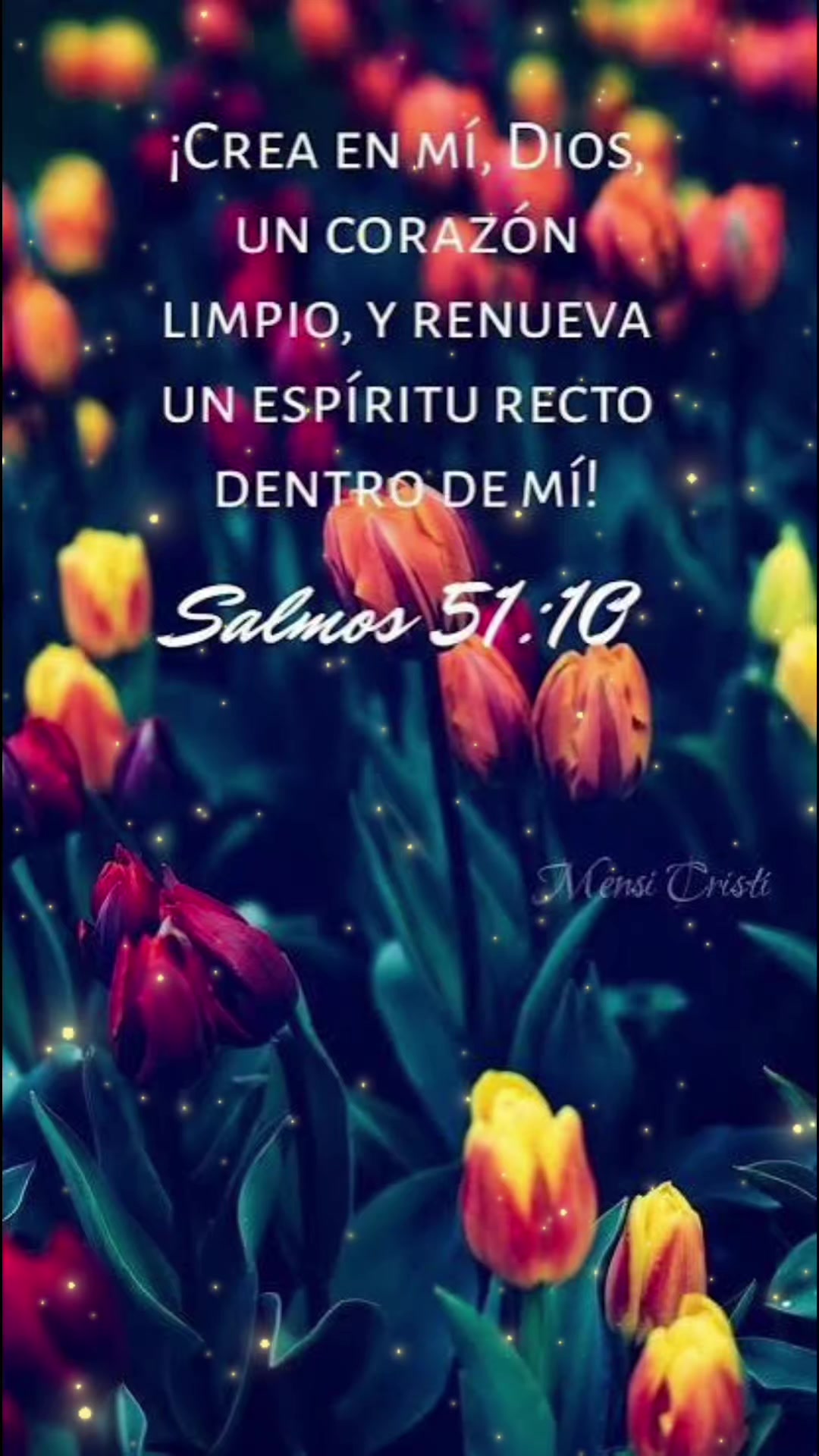 @amparo