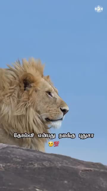 @prasanth baby 🗡🇱🇰
