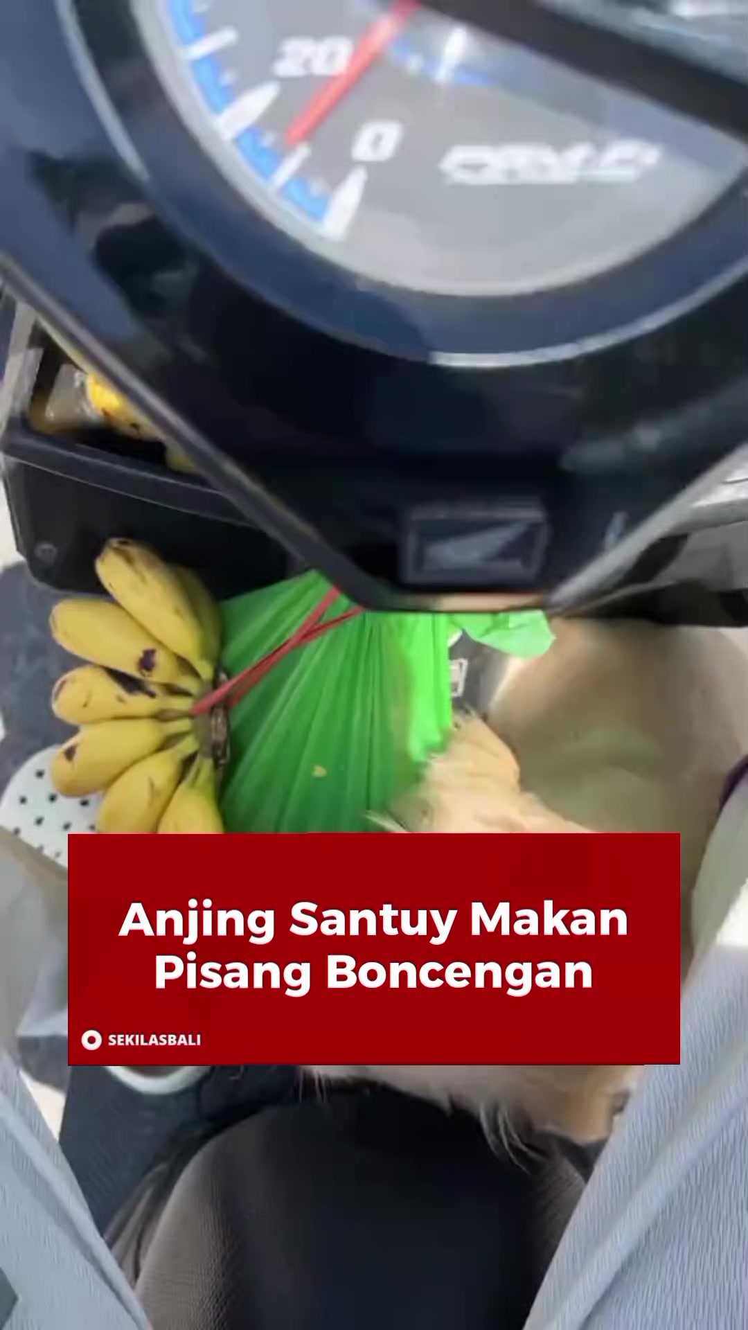 @Sekilas Bali