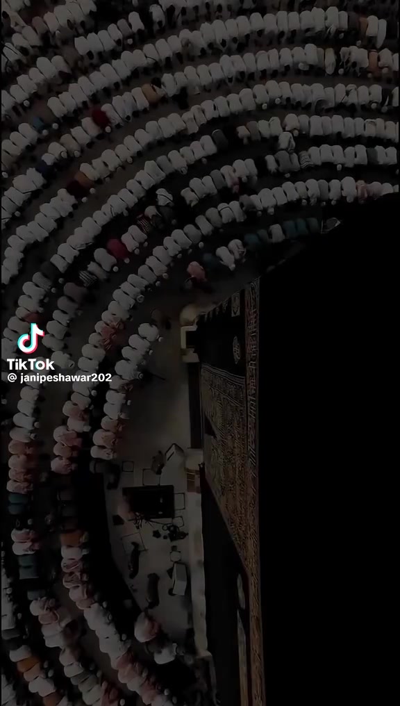 @M Shahid69533