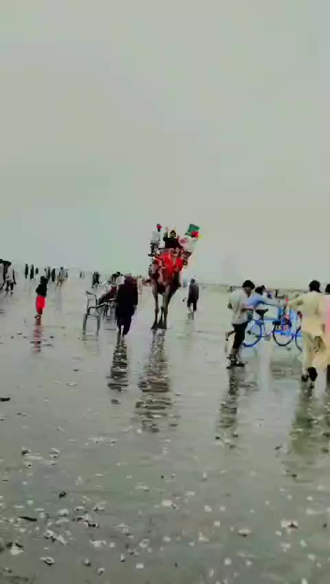 @kreemshaikh