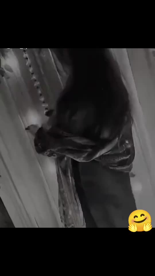 @Hina Malik