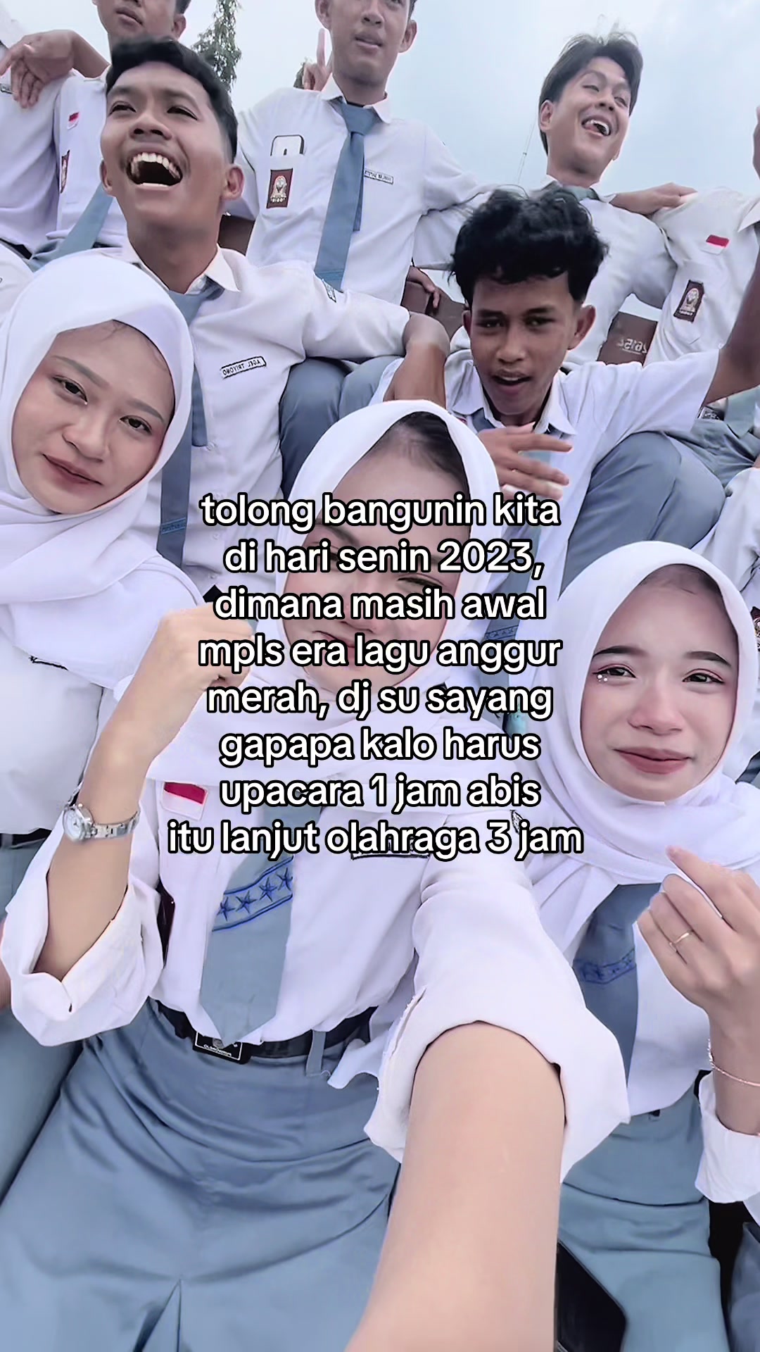 @amliaa