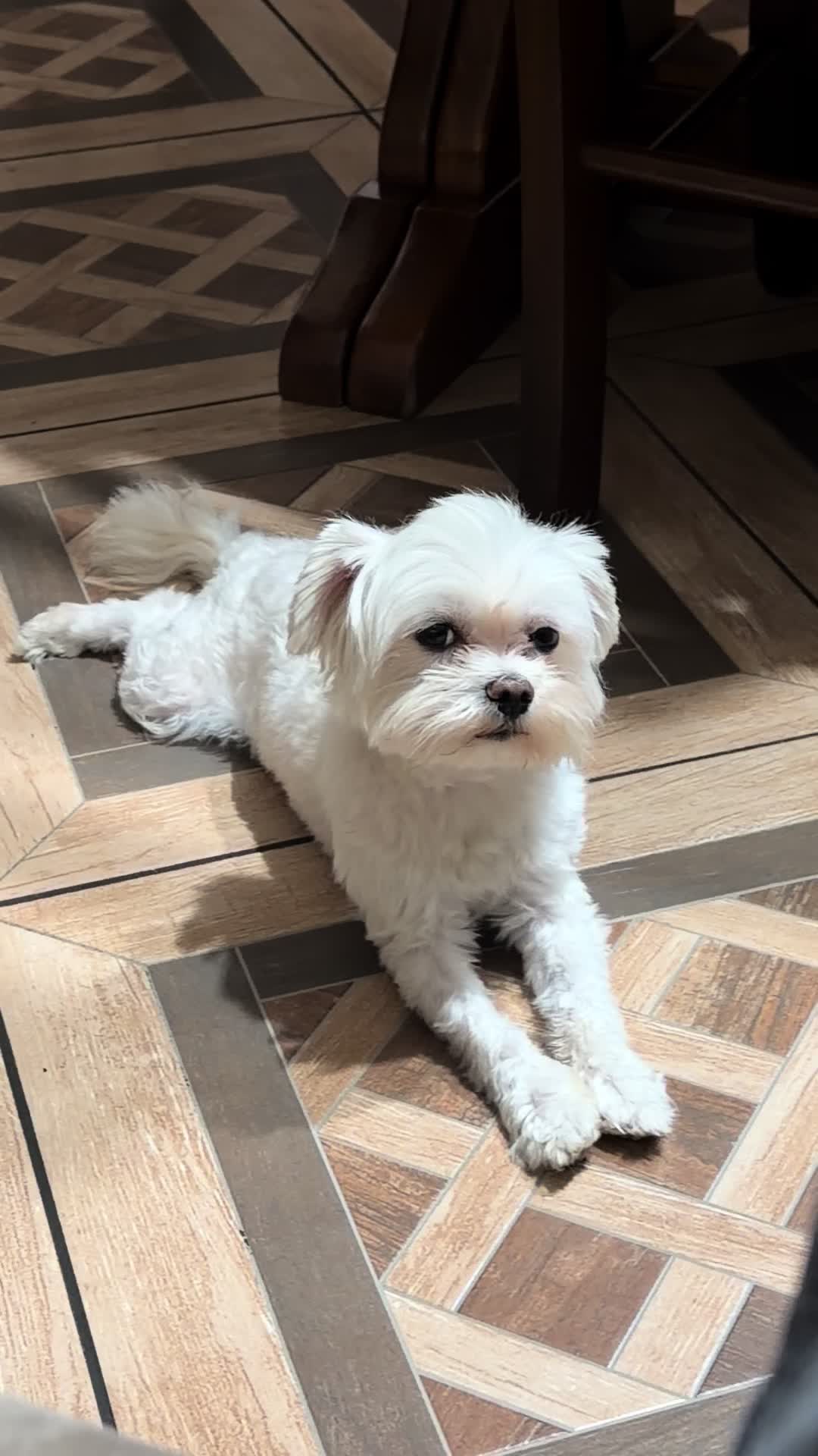 @SALVATORE♥️TROVATO