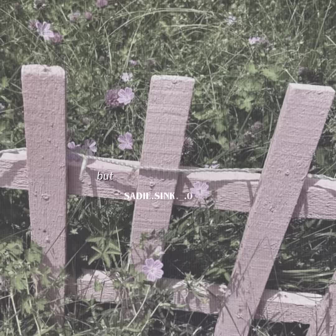 @๐ด๐๐๐๐โธโธ ๐ฉต๐ง