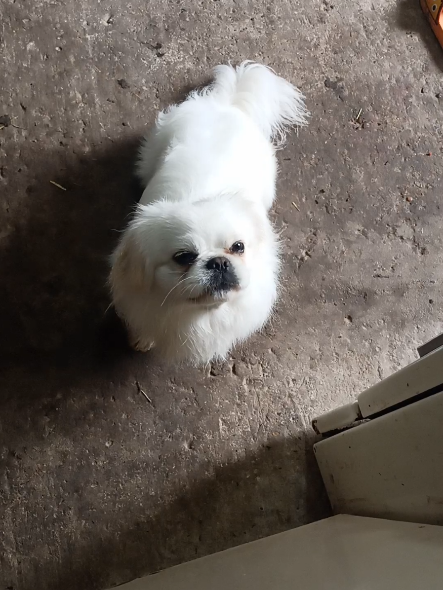 @Jacky_TikTok