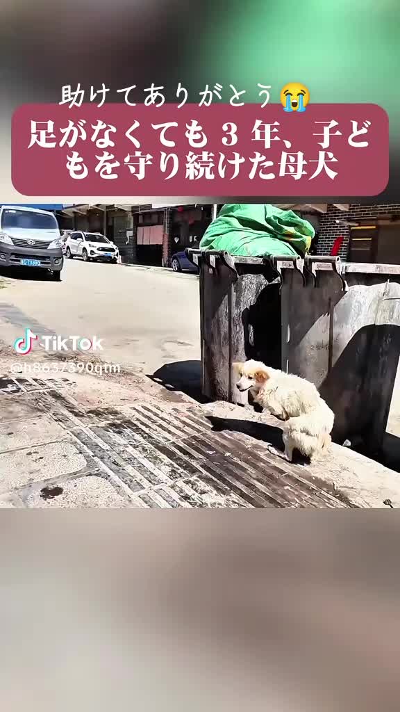 @ひろし❗️