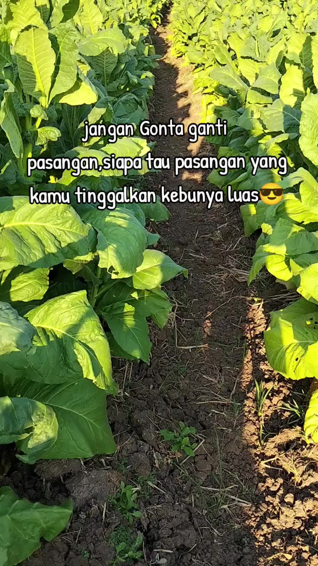 @R.RESTU๐ซถ๐ผ