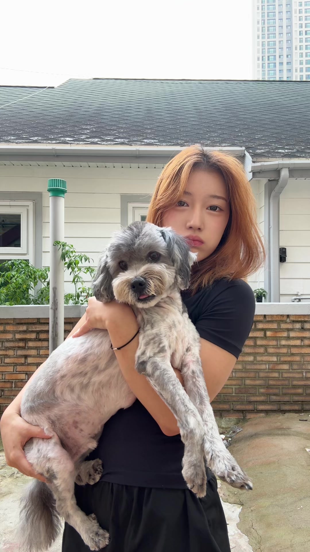 @서영 잘가시고