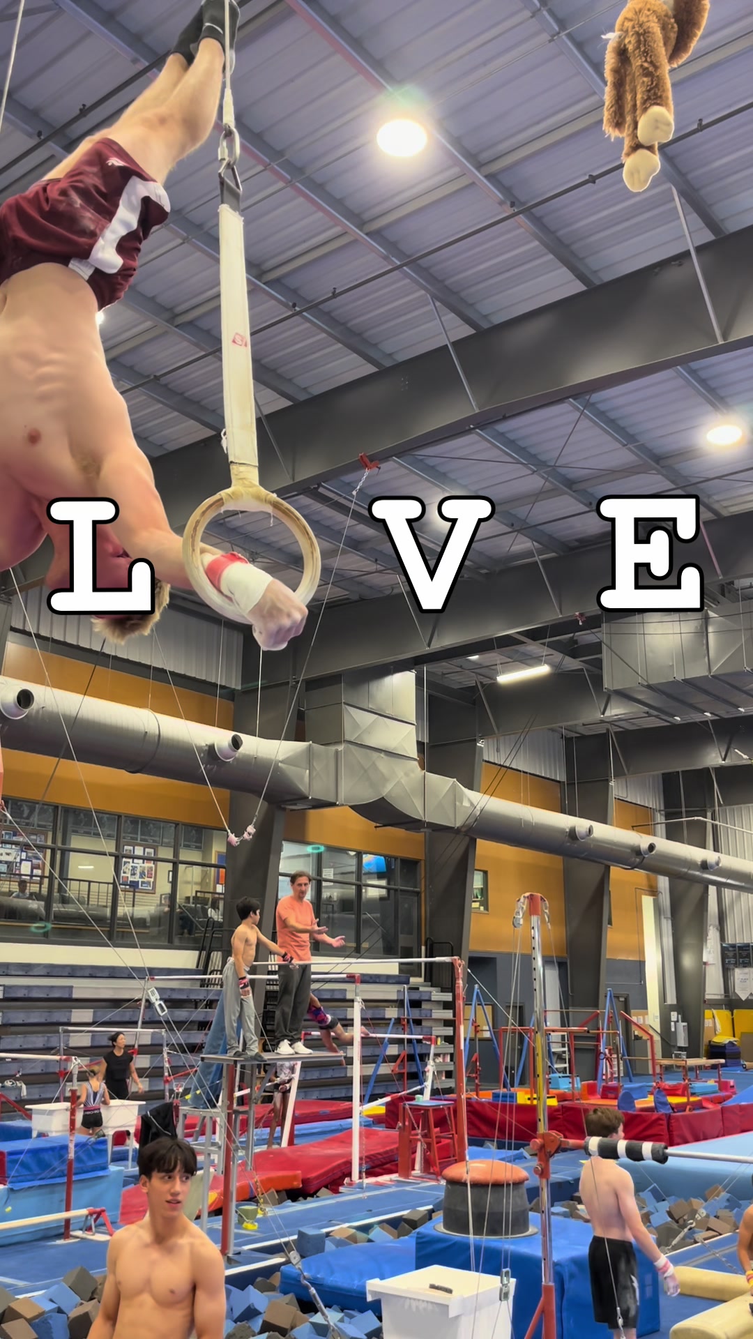 @trent_does_gym