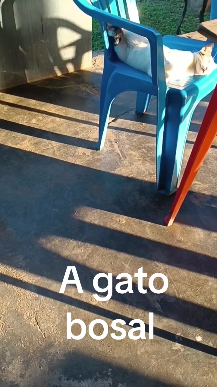 @Jailson Miranda