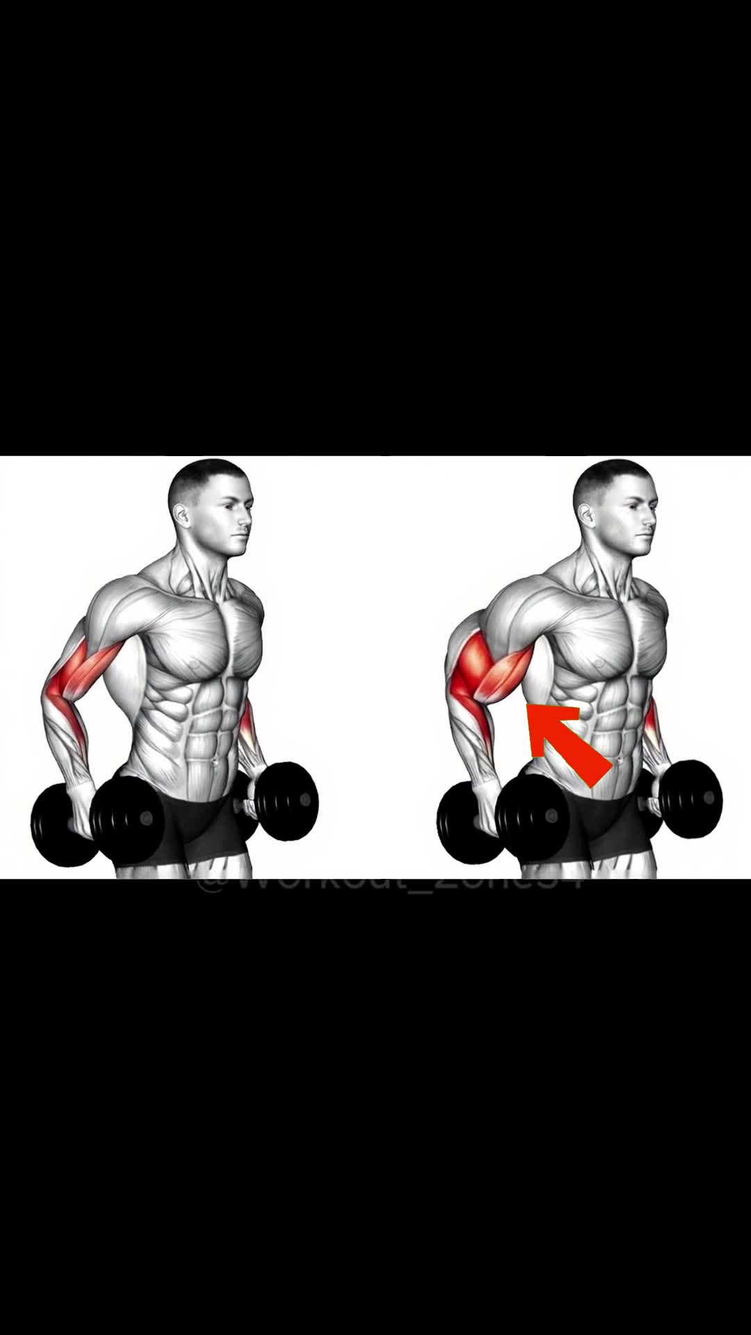@workout_zone34