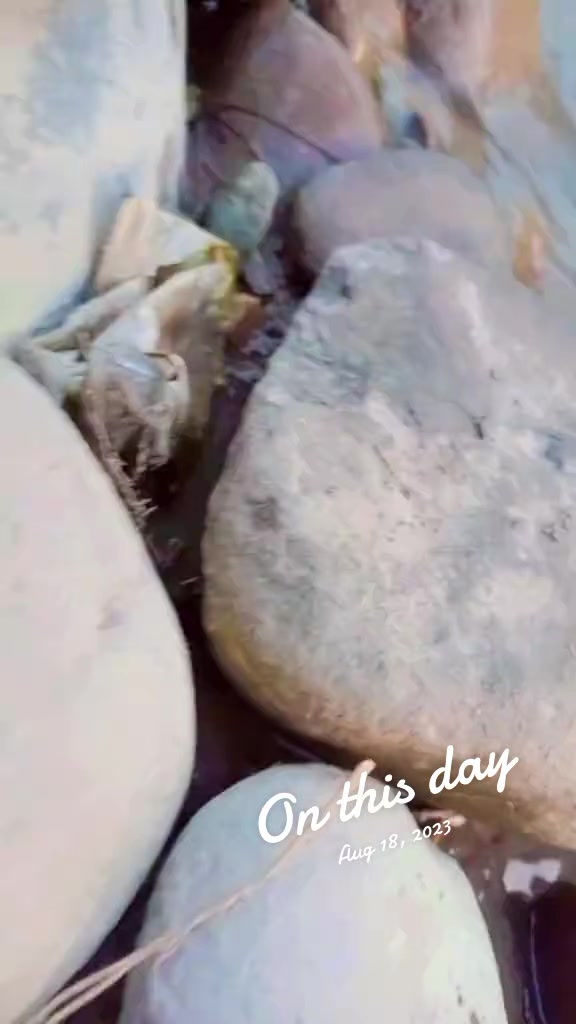 @ĺ@đĺ@ Ťêɓįįį¹⁴³