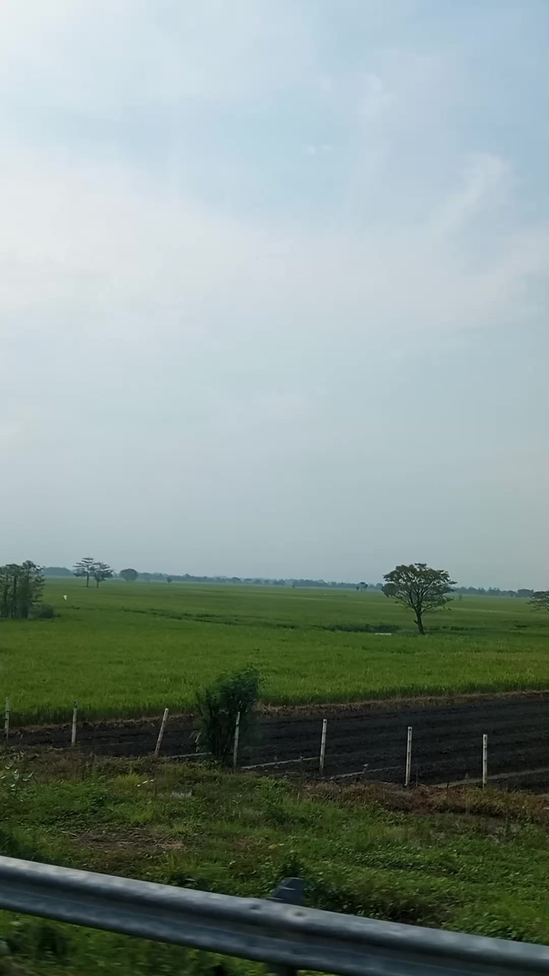 @mustikaayu01