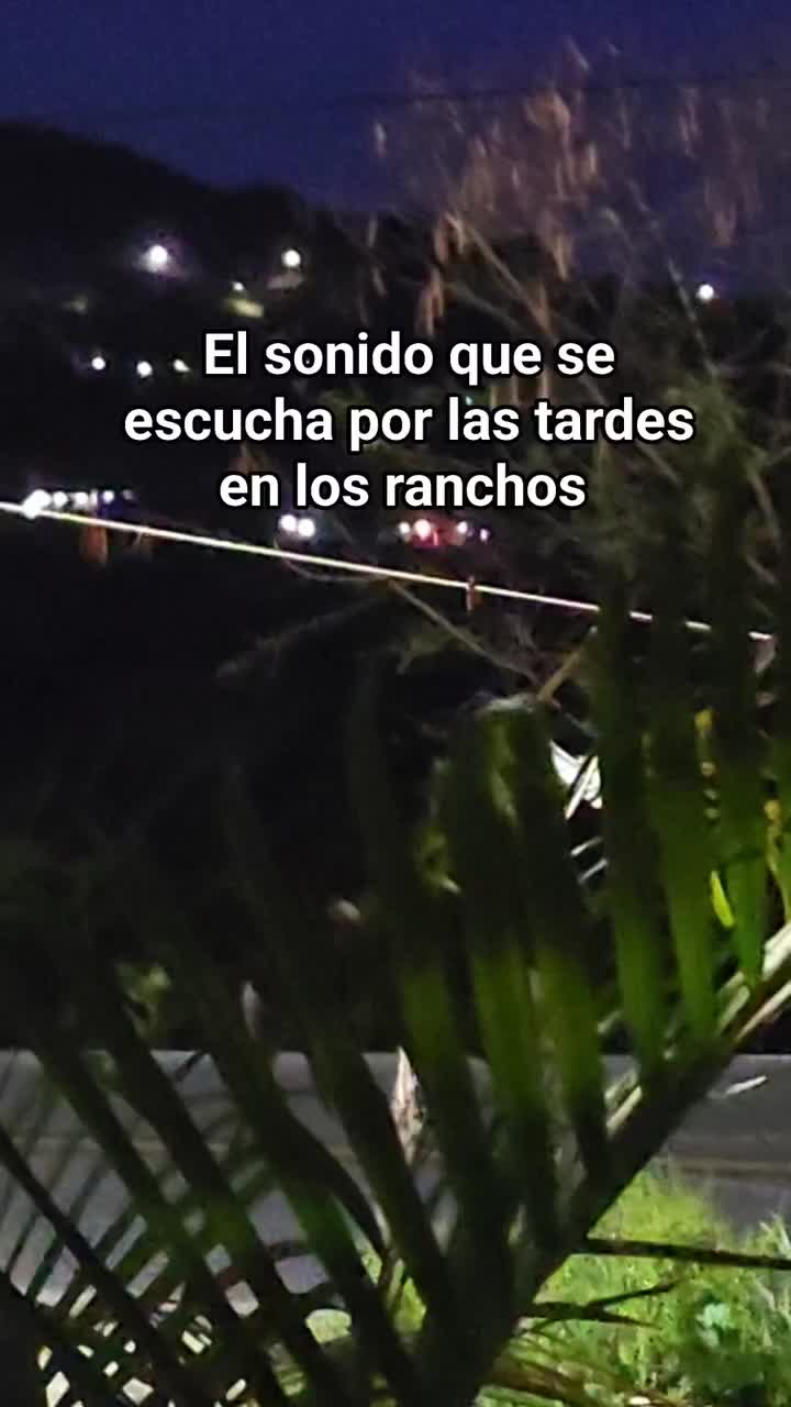 @Pedro salvador