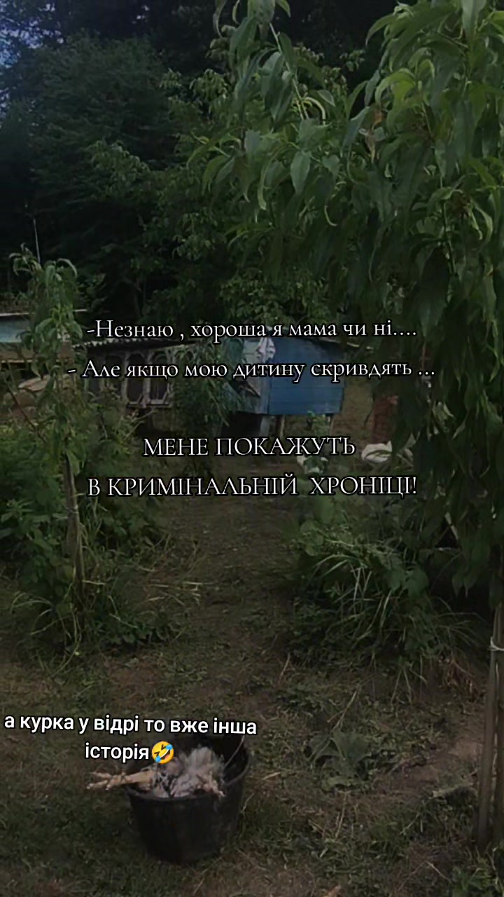 @Masha Voloshina