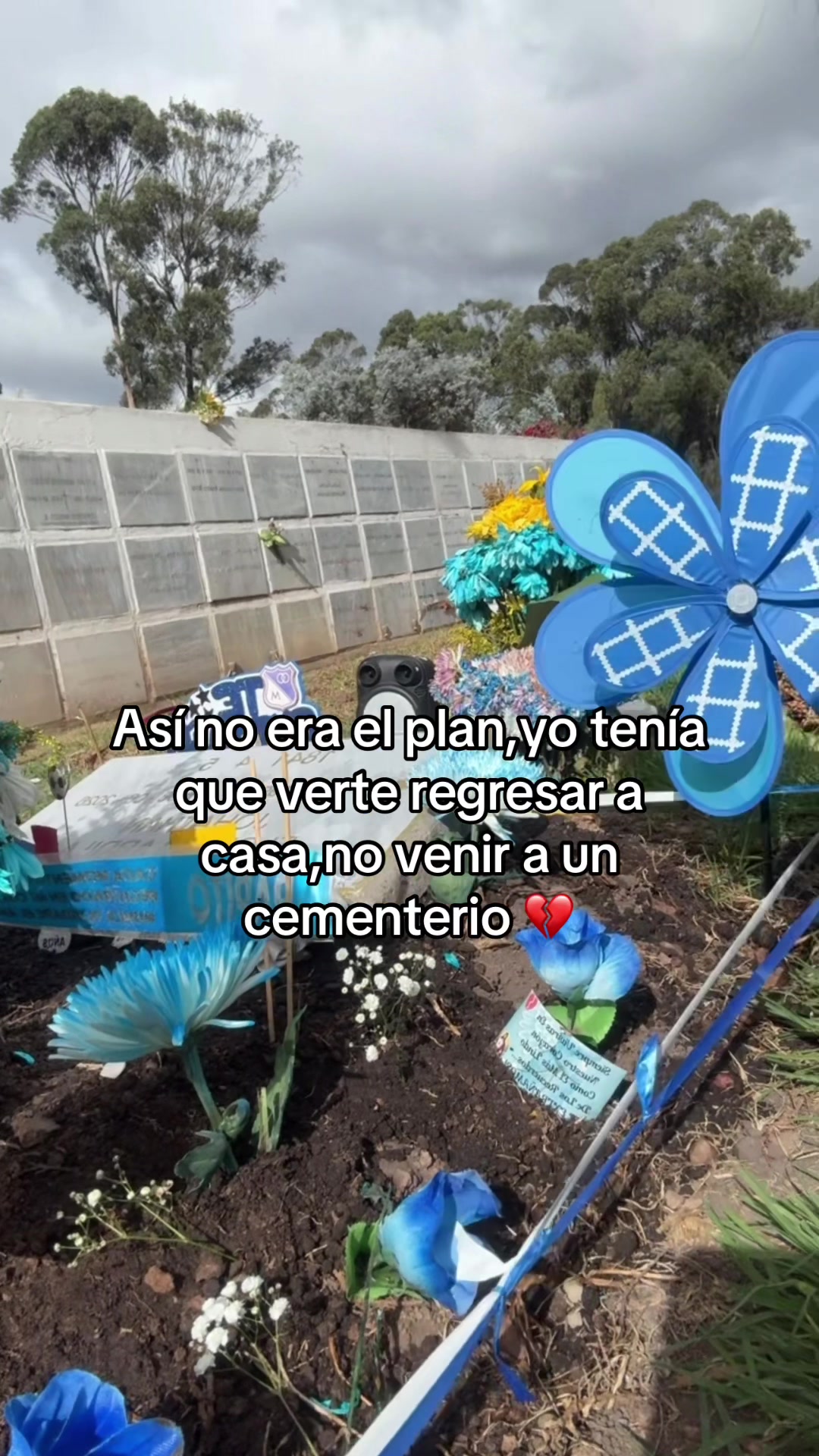 @Luu.