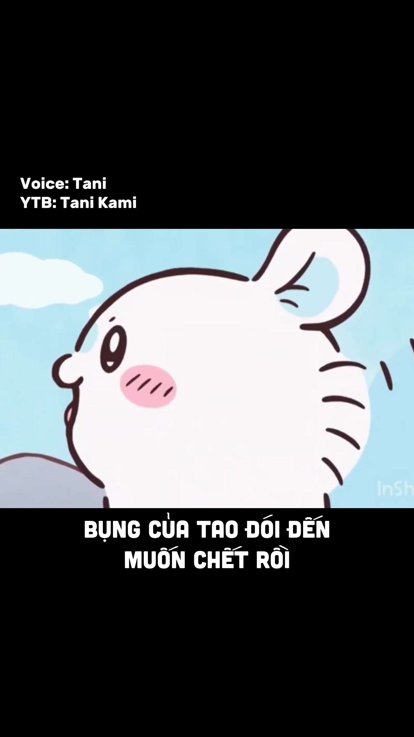 @Tani Kami 🐹