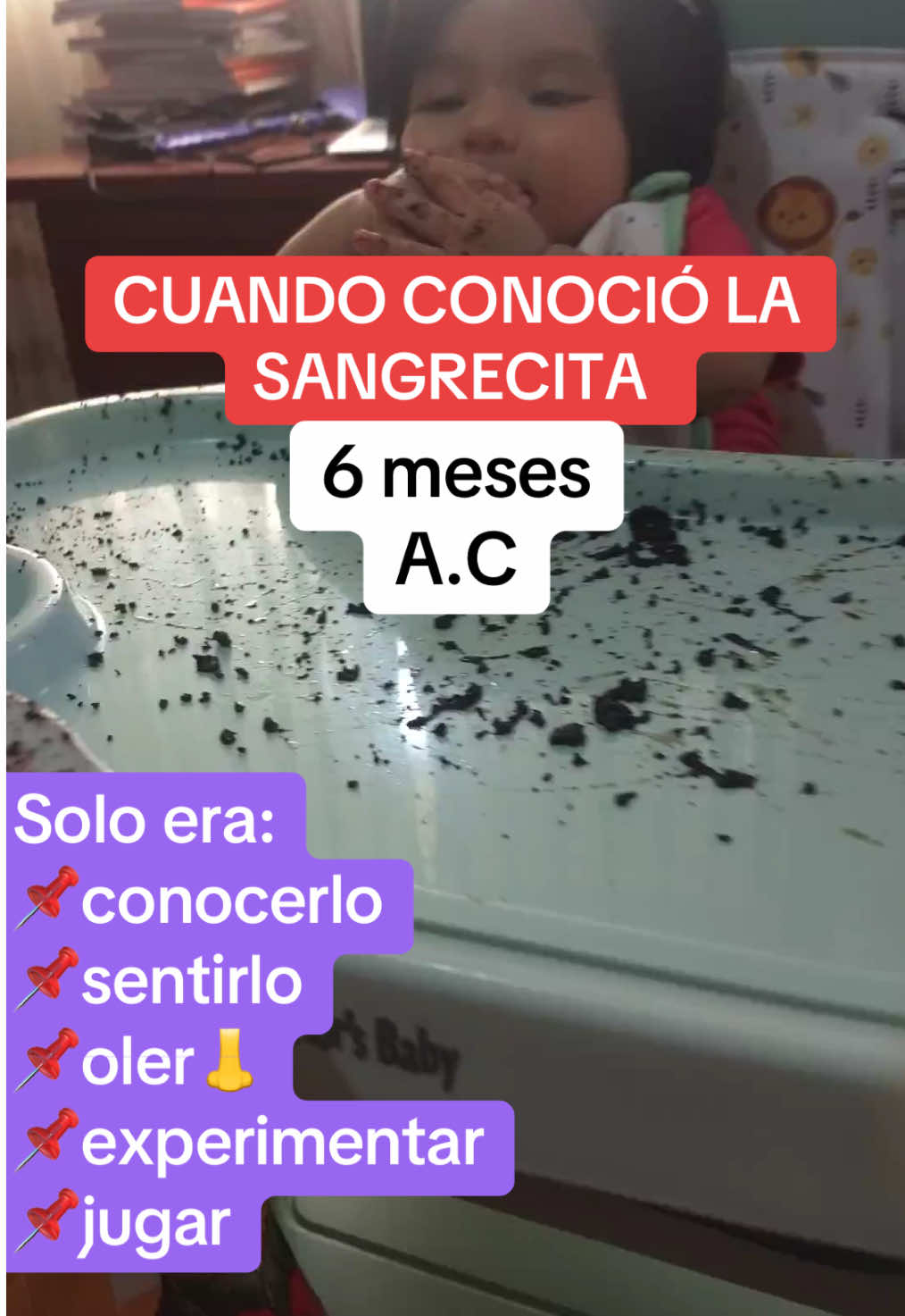 @Nutricionista_andy