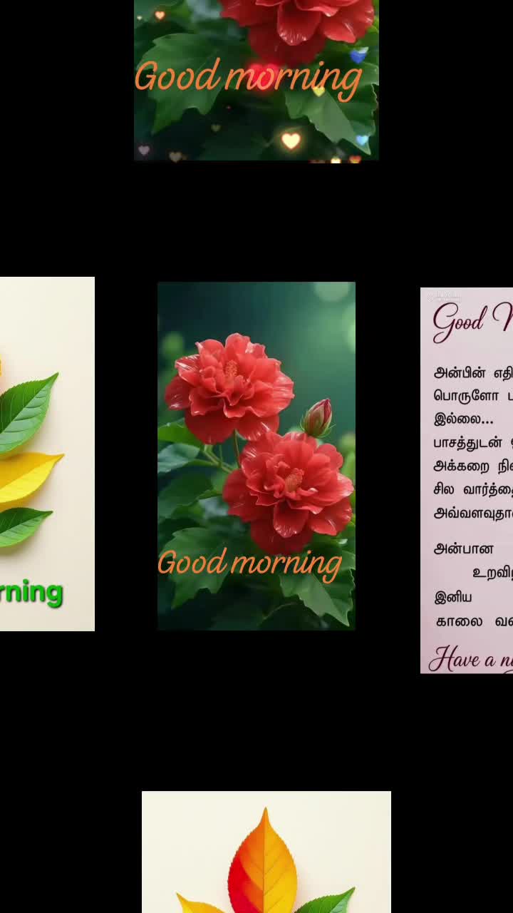 @Sai Meena