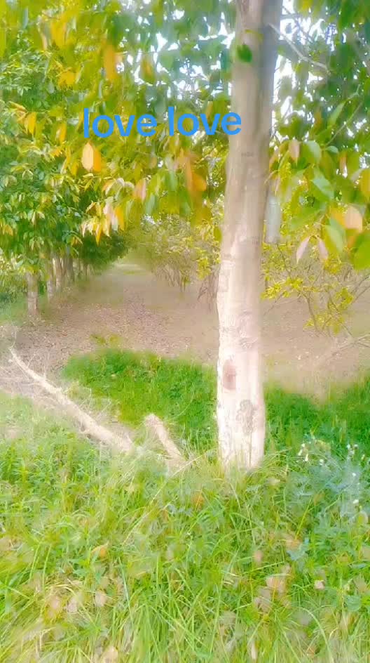 @Abid 4567