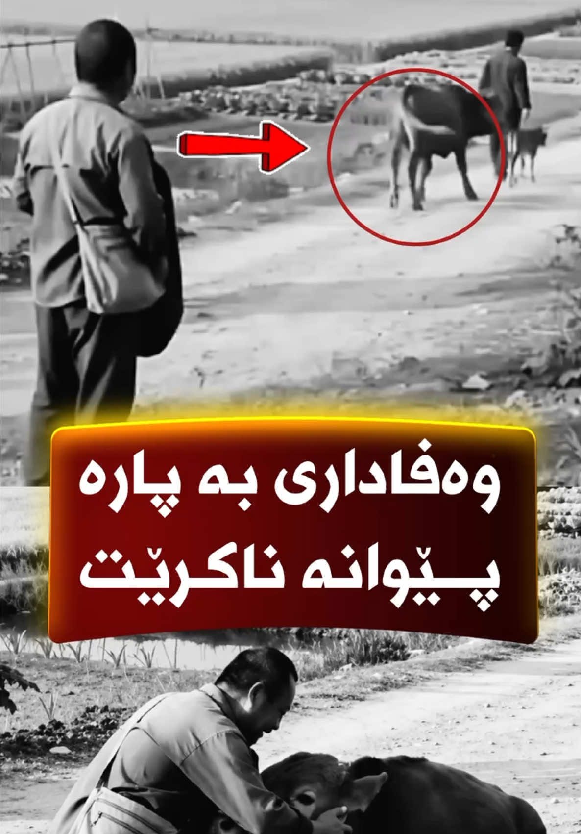 @🎤📺 𓆩جیگر هەركی𓆪 Journalist